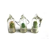 Hogift Made in China Alibaba wholesale Manufacture Style mixed Portable mini cactus Plants Baby tree keychain and key chain