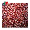 Red Kidney Beans, Speckled Kidney Beans Export, Ethiopian Red Kidney Beans Long/Round Shape