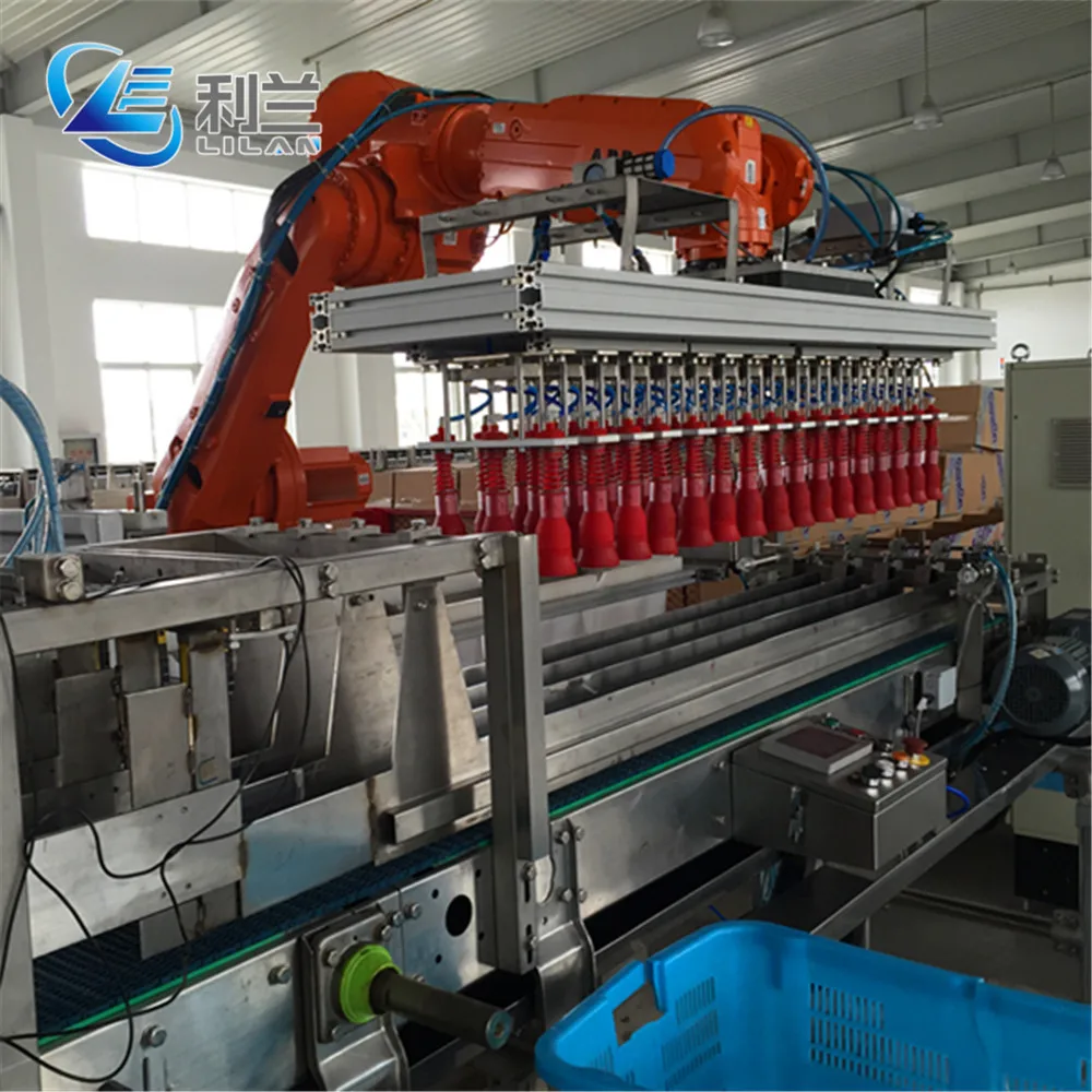 robot packing machine