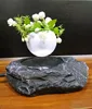 Floating bonsai, Levitation pot trays let your plants free in the air
