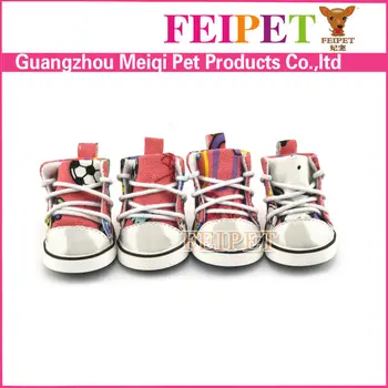 converse chien converse chien