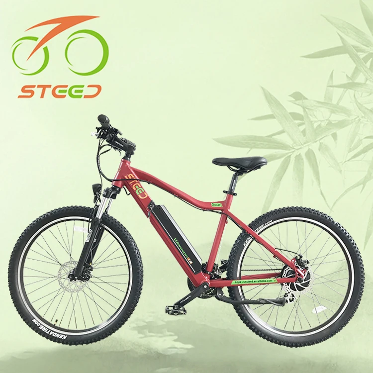 battery bicycle price