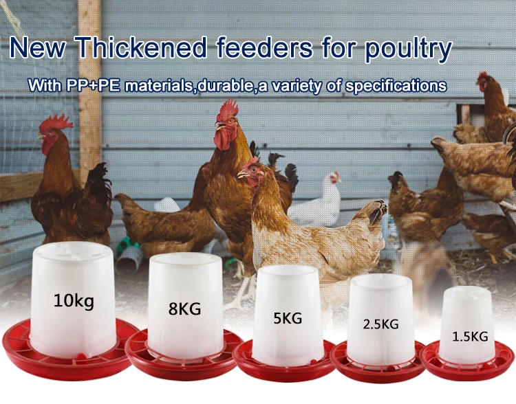 Sihai Wholesale Chicken 2l Feeder Chicken Feed Tray Chicken Feed