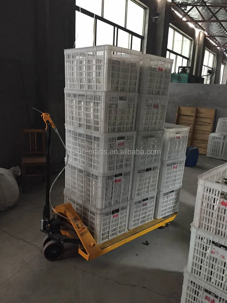cola water bottle (4)