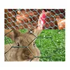Hexagonal Wire Netting or mesh Chicken/Rabbit/Poultry Wire Netting