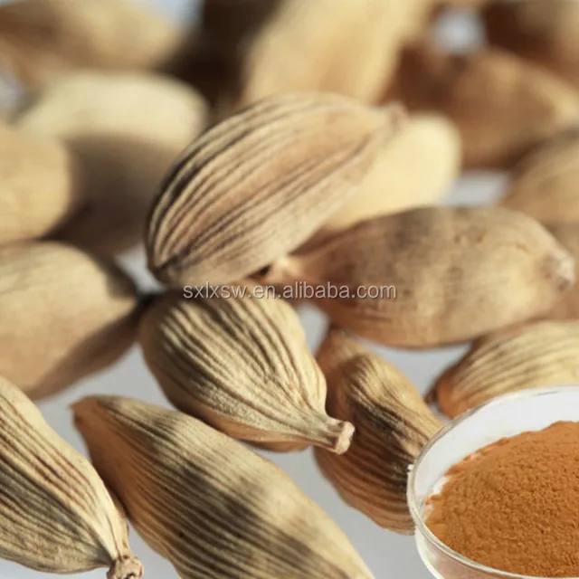 assurance best price cardamom extract powder,black cardamom