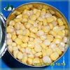 2015 good quality and competitive price non gmo canned food yellow maize price