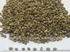 SUPPLIER OF ROBUSTA COFFEE BEANS BEST PRICE FOR END OF YEAR 2014