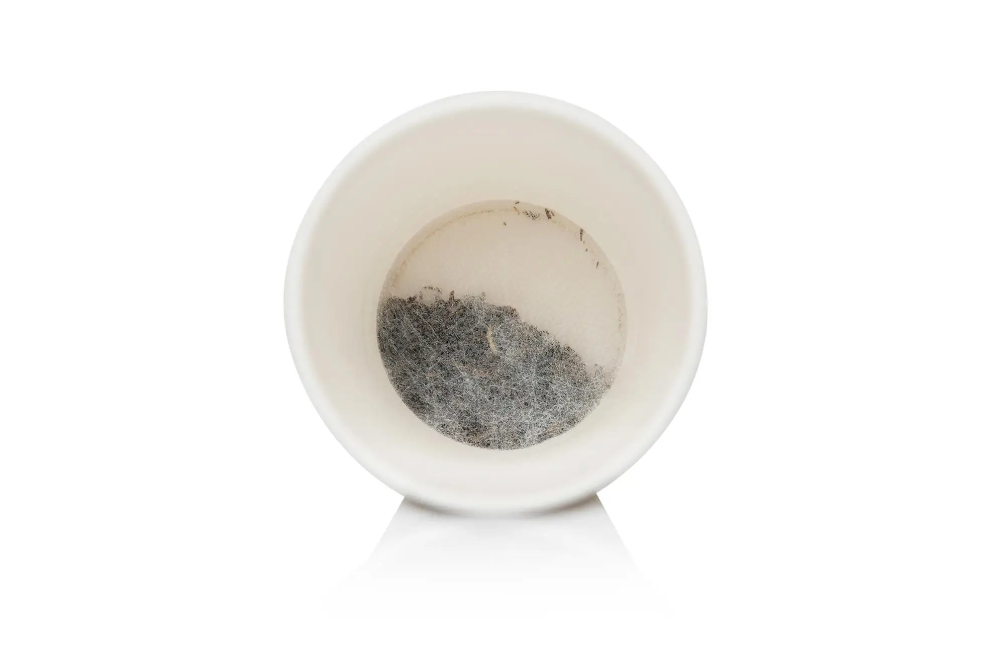Green tea type and Distinctive Recycled printed Paper Tea Cup with green Tea Inside - 4uTea | 4uTea.com