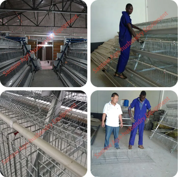 Automatic chicken cages hot galvanized poultry cage cheap price laying hen battery cage for layer farm design