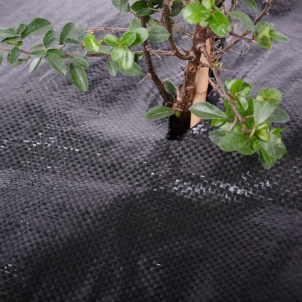 Weed Prevent Agricultural Plastic Ground Cover Buy Agricultural