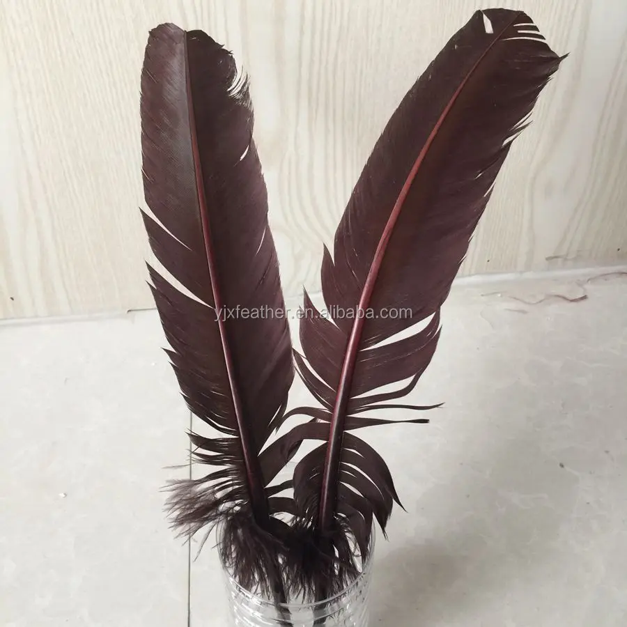 turkey feathers for sale