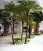 jungle style fake imitation man made Cyathea tree