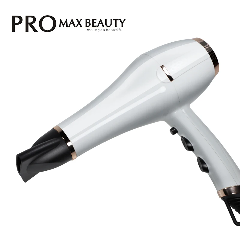 Professional 2 Speeds 3 Heat Settings Powerful Fast Dry Blow Dryer