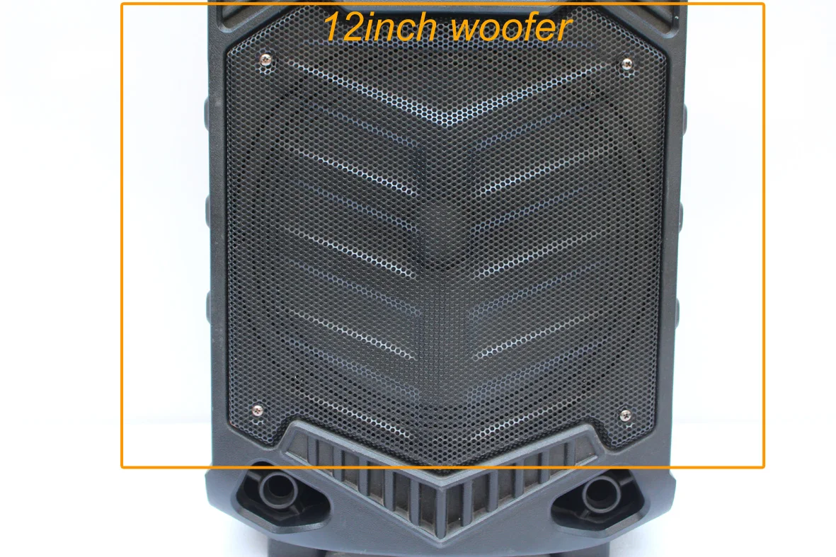 Leisound 12inch Plastic Karaoke Subwoofer Bass Speaker With