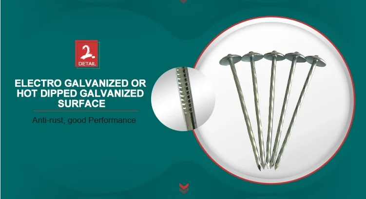 size BWG6- BWG18  1 kg 10kgs 25kgs Prices per kg polished flat head common round wire steel iron nails / umbrella roofing nails