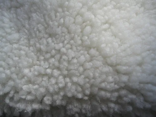 curly sheep fur lining.JPG