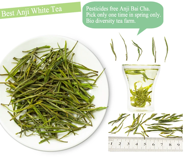 Health Benefits Green Tea Anji Bai Cha WEYES