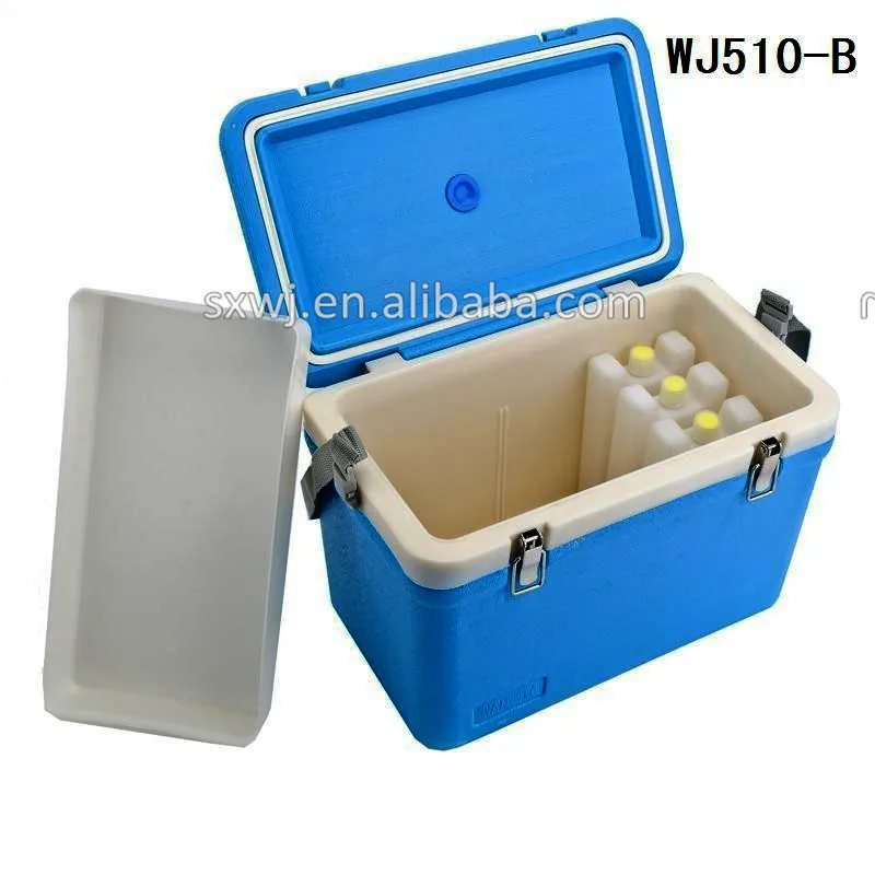 8l 12l Plastic Veterinary Cooler Ice Box With Digital Thermometer Buy