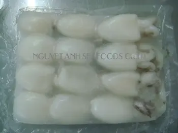 600 Gambar Cumi Cumi Sotong Terbaik 600 Gambar Cumi Cumi Sotong Terbaik