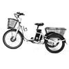 Urban Carrying Commuting Bicycle 250W Battery Electric Cargo Reverse Trike