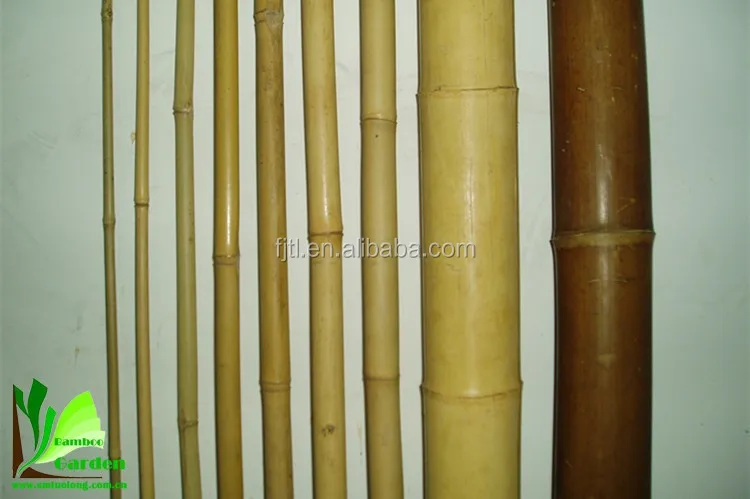 Bamboo Pole Bmaboo Cane Bamboo Stick001