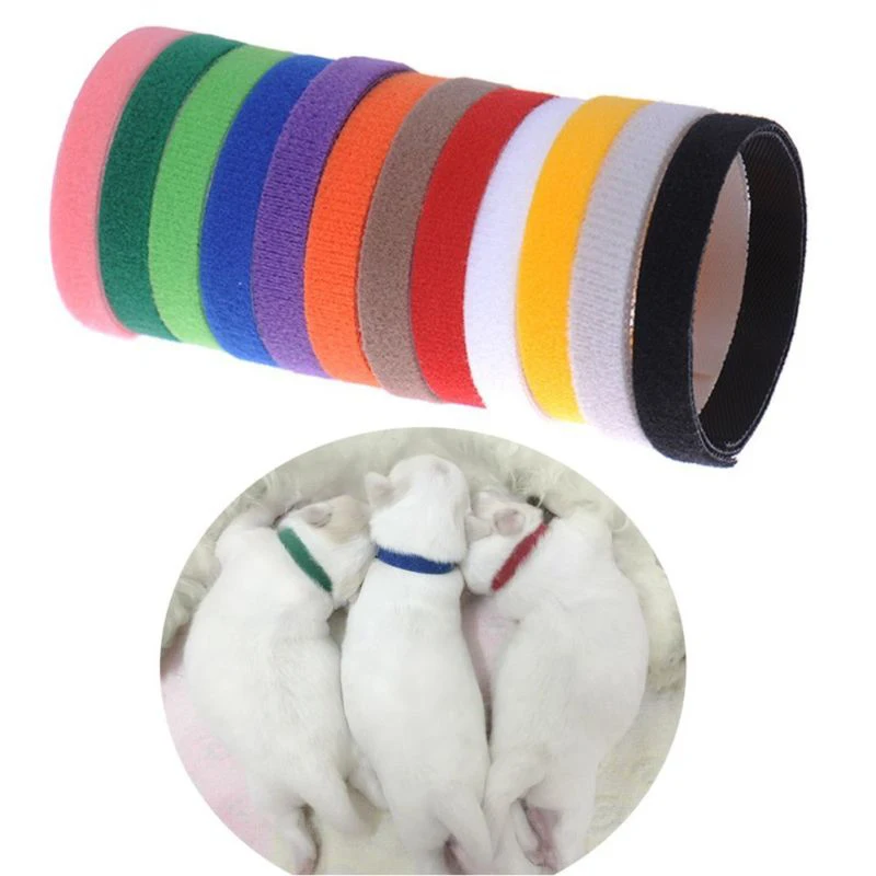 Puppy ID Collars.jpg