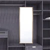Wardrobe fitting Full body mirror Push-pull Folding telescopic Concealed rotating Dressing mirror