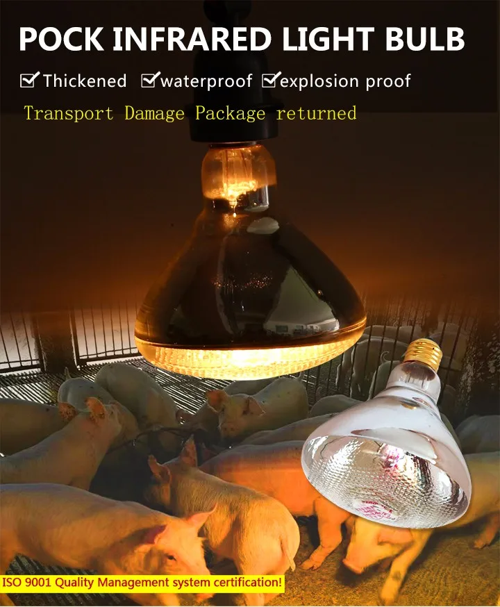 Short Wave 100w Red Infrared Heat Lamp Bulb For Pigs Farm Infrared