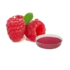 Supply 100% Pure Natural Red Raspberry Extract/1% ~ 25% Anthocyanin