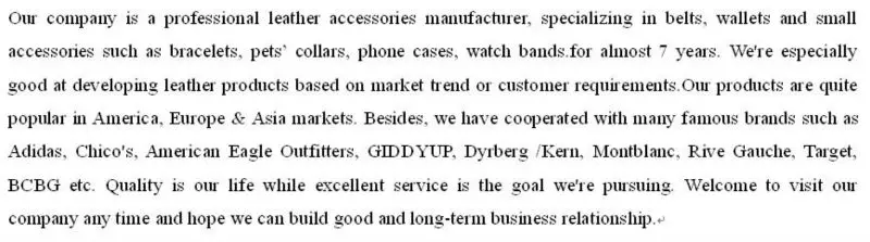 Company description