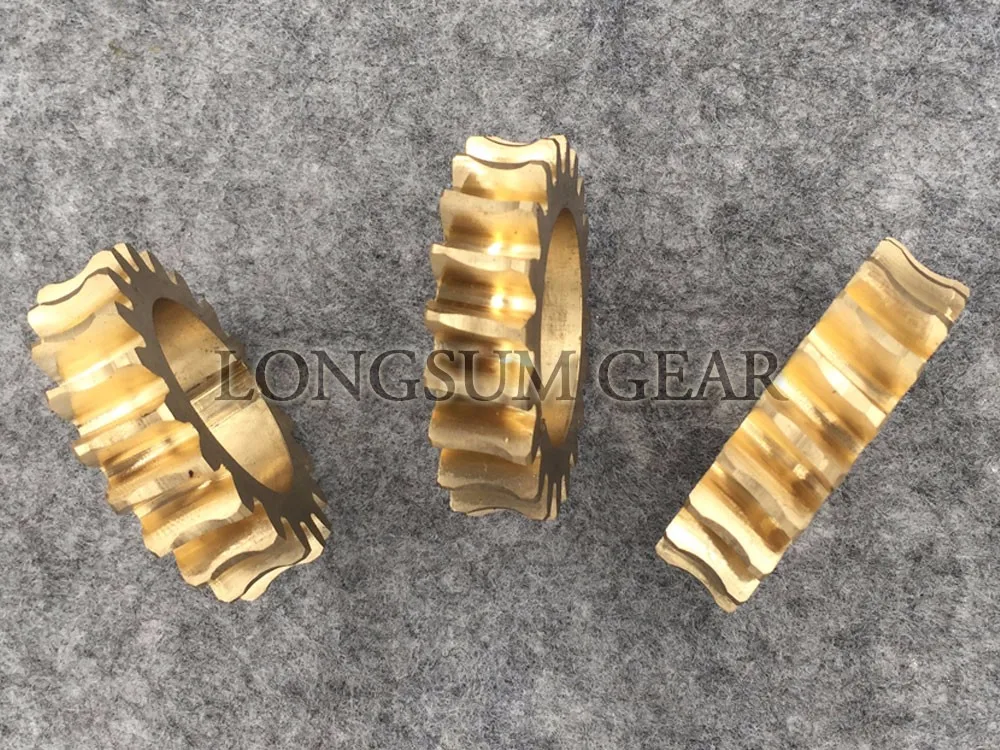 Worm Gear (5).jpg