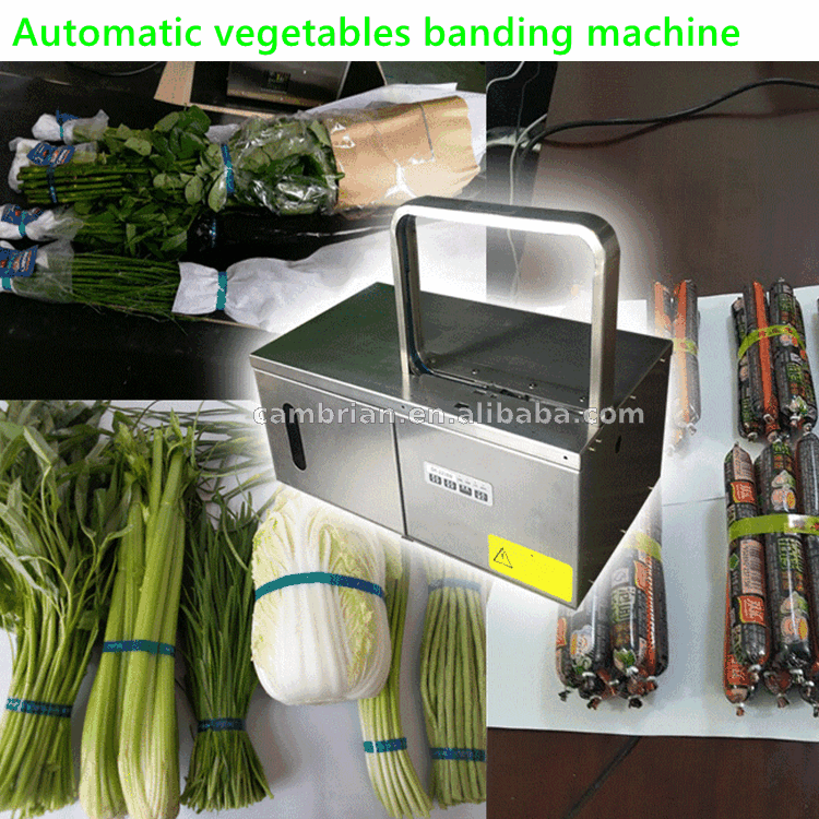 Small Vegetable Banding Machine Vegetables Tying Tape Machine