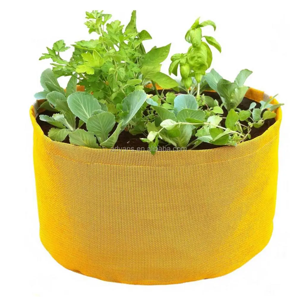 Vegetable plant bag Yellow.jpg