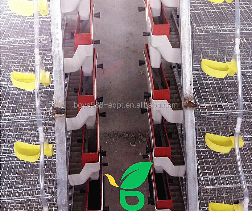 Automatic Water Supply For Quail Layer Cages Buy Water Supply Cup For