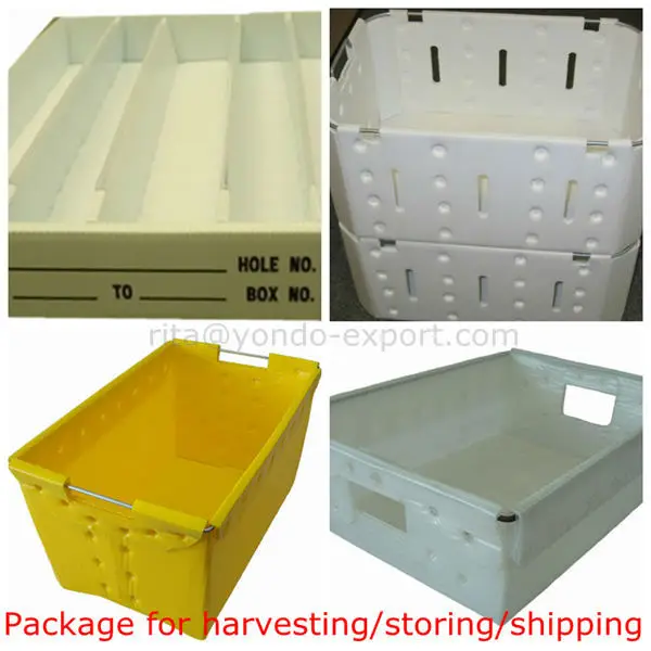 Custom Made Corrugated Plastic Recycle Bins Buy Corrugated Plastic