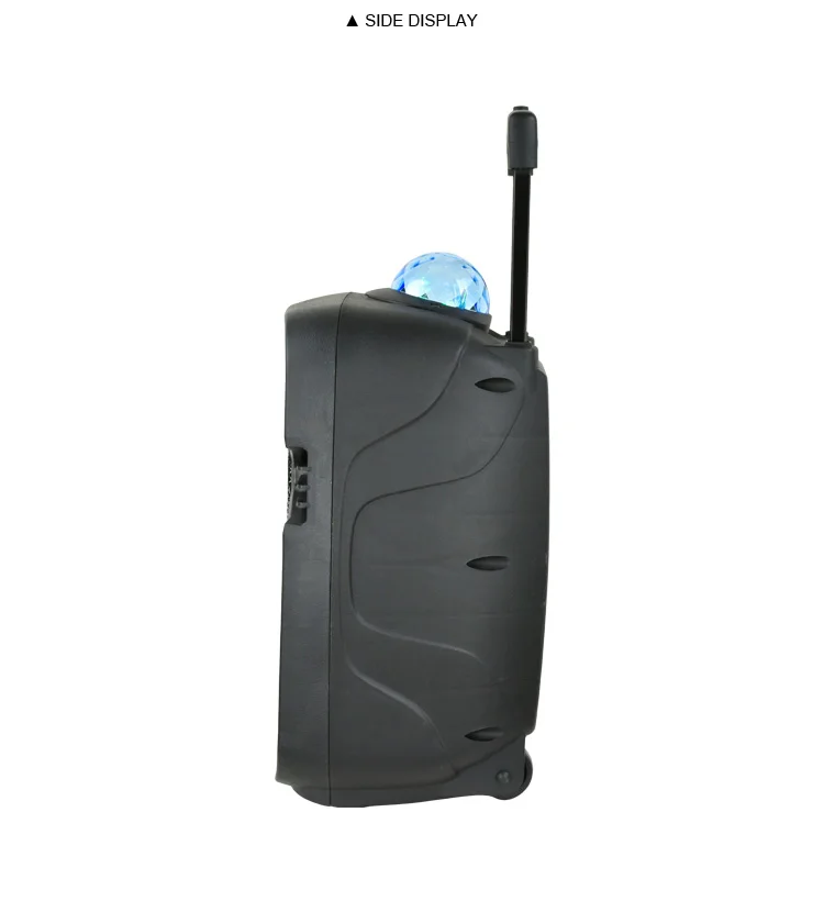 temeisheng(feiyang) chinese karaoke 8 inch professional speaker box loudspeaker enclosure active pa speaker system - ANKUX.COM