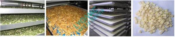 Lyomac freeze dryer lyophilizer freeze drying machine laboratory freeze dryer lyophilization (147)