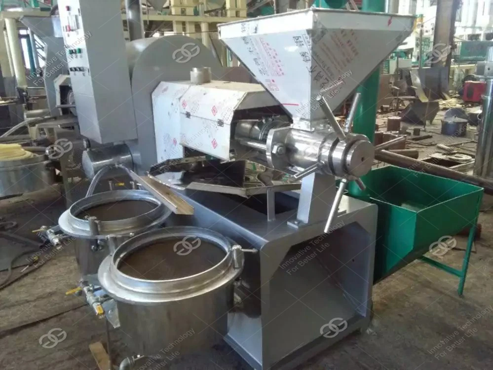 Best Price Small Home Flax Seed Jatropha Nut Flower Oil Expeller Cold Oil Press Machine In Pakistan