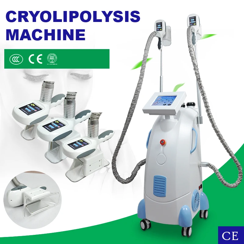 Beauty Salon Popular Cryolipolysis Cool Body Sculpting Machines For Sales Buy Cryolipolysis Machine Cryolipolysis Body Sculpting Machines Product On Alibaba Com