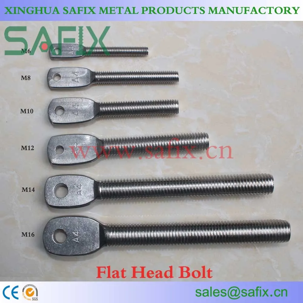 flat head bolt.jpg