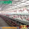 Cheap and high quality types of layer chicken cages for zimbabwe poultry farms