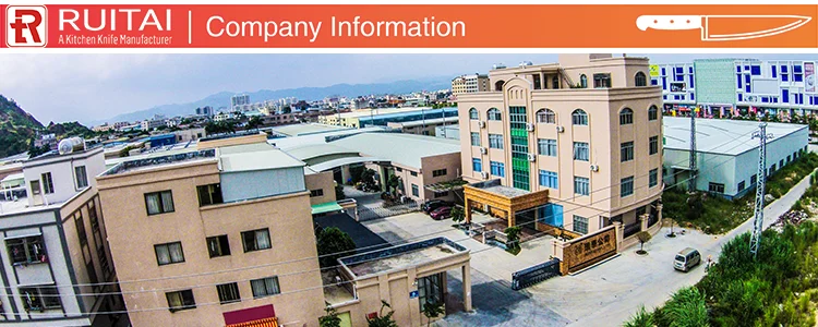 Company information.png