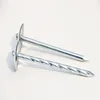 Galvanized Zinc plating, polishing umbrella head roofing nails with washer
