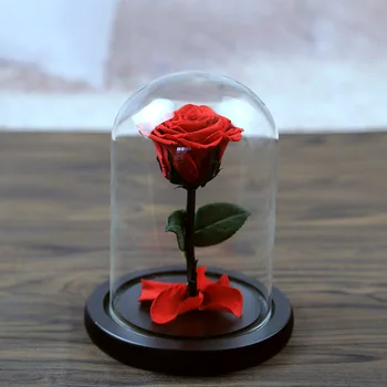 Whole High Quality Small Rose Gl Dome Preserved In Mini Whole High Quality Small Rose Gl Dome Preserved In Mini