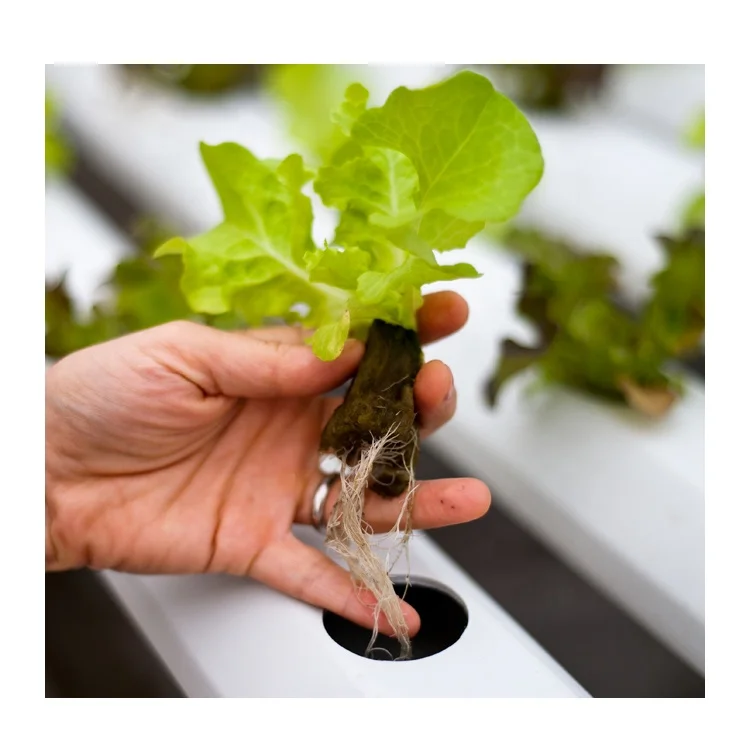 Plant Hydroponics Nft System With 108 Holes Kits Vertical Hydroponics Pvc Pipe Plant Vegetable