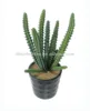 pop artificial mini plants 15cm cactus bonsai succulent plants