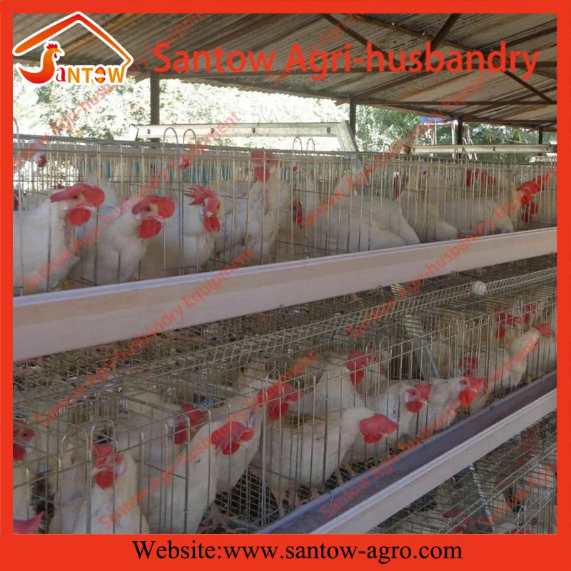Automatic chicken cages hot galvanized poultry cage cheap price battery cage design for Uganda Nigeria Kenya Africa Philippines