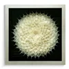 Framed Shadow Box 3D Wall Art Decor Wall Decoration Crafts Art Hanging Wall Art for Living Room