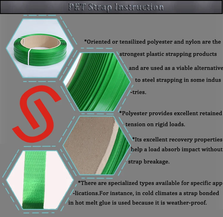 Printed Logo Green Plastic Pet Polyester Packing Recycle Pet Strap
